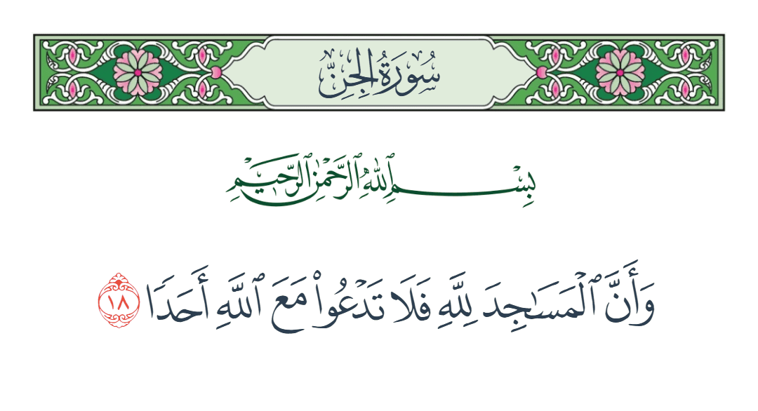  سورة الجن الآية رقم 18