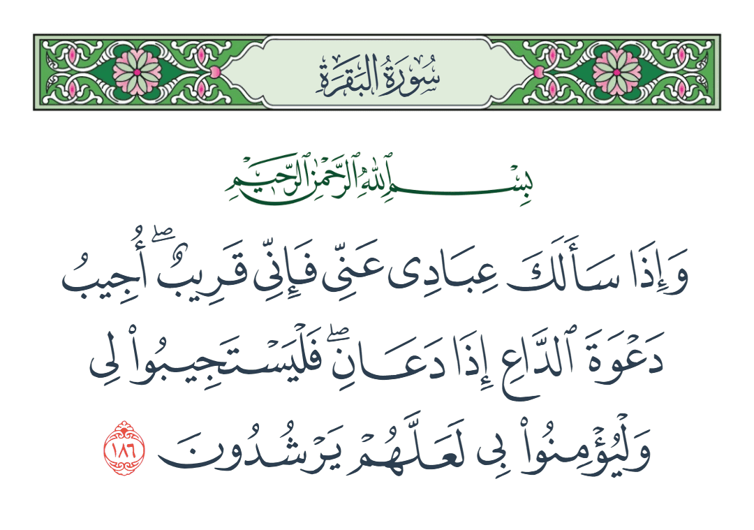  سورة البقرة الآية رقم 186