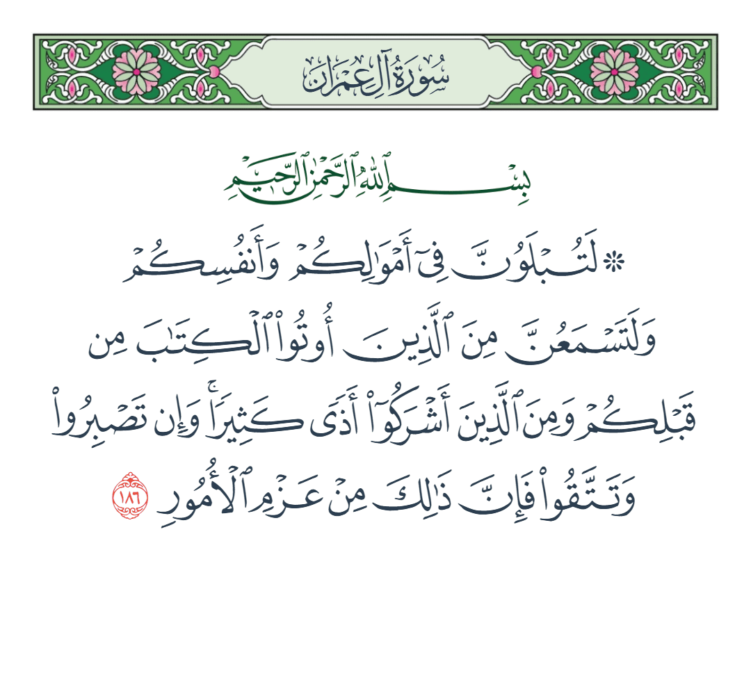  سورة آل عمران الآية رقم 186