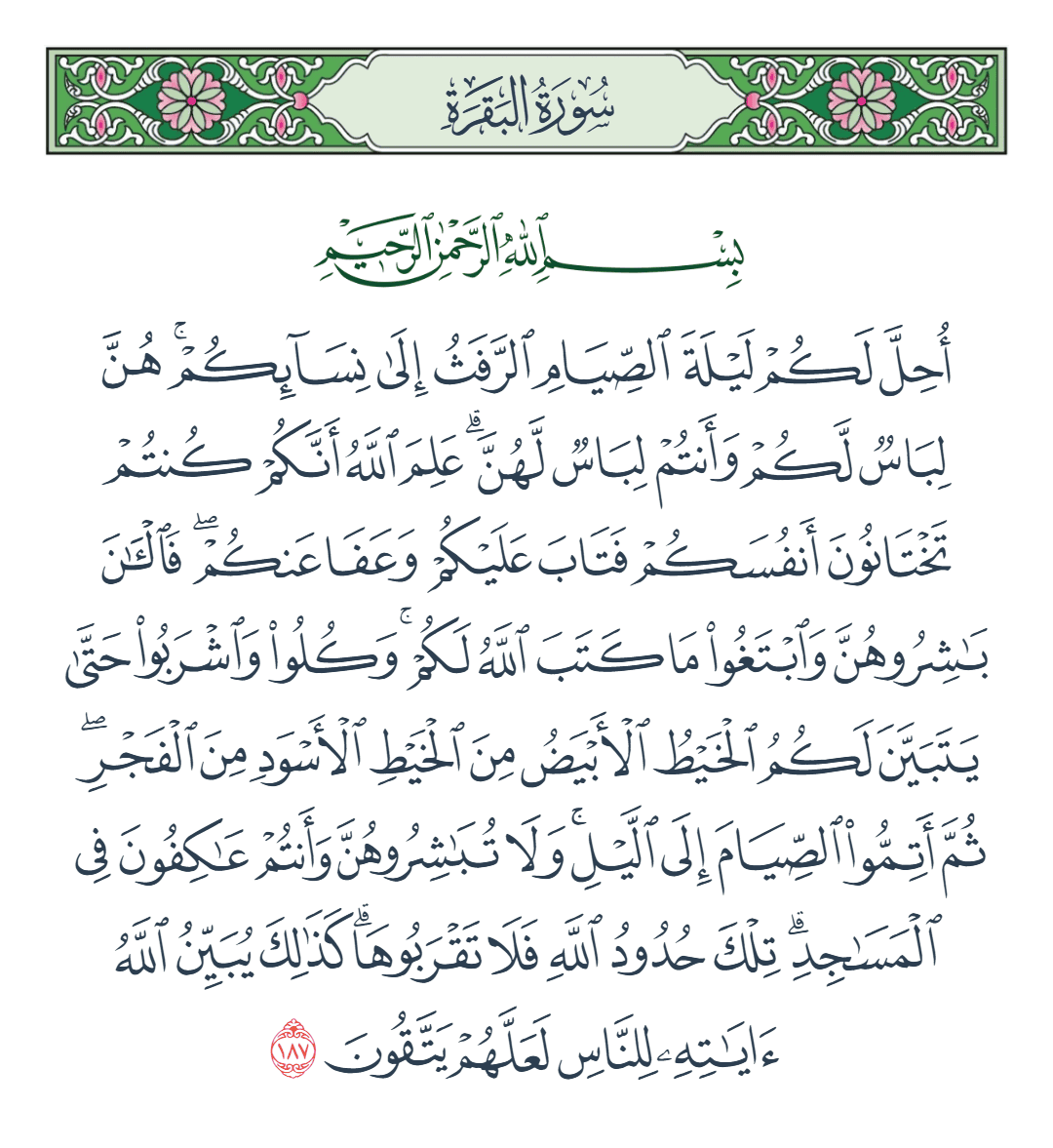  سورة البقرة الآية رقم 187