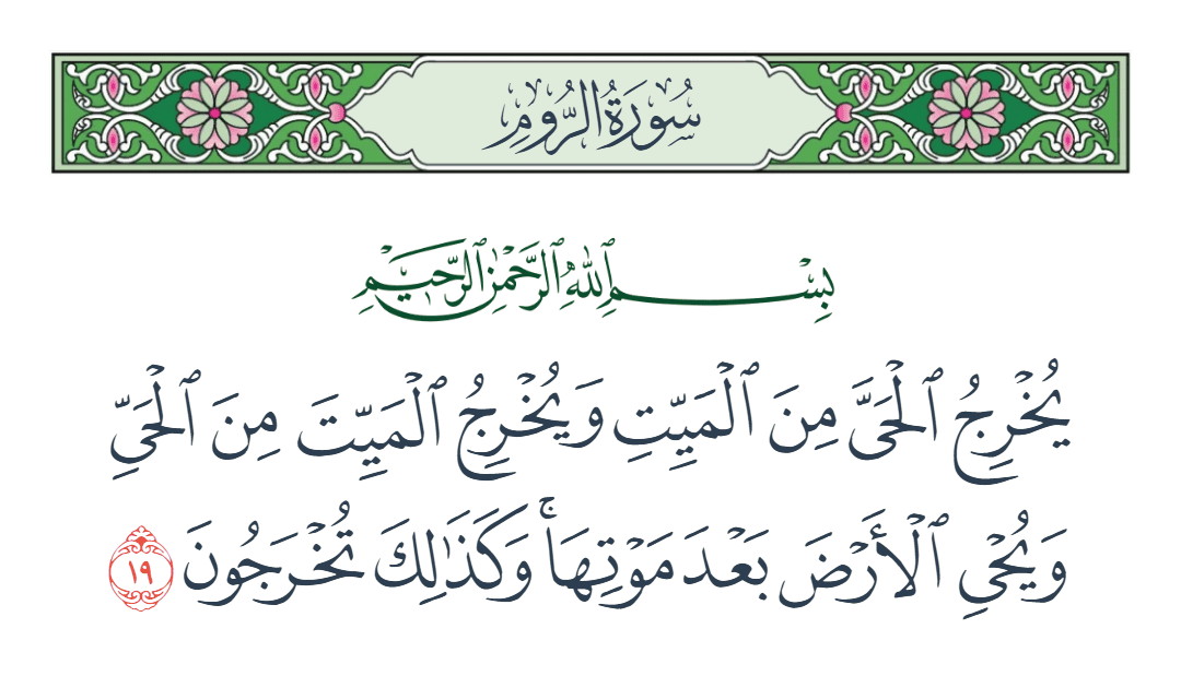  سورة الروم الآية رقم 19
