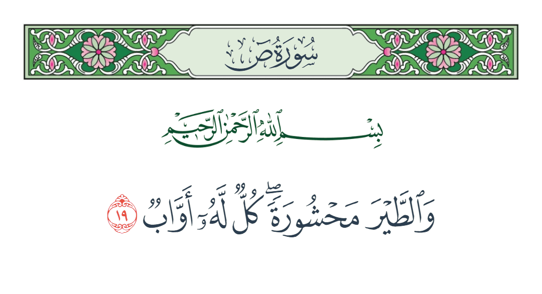  سورة ص الآية رقم 19