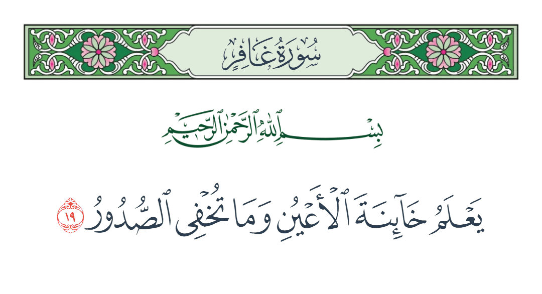  سورة غافر الآية رقم 19