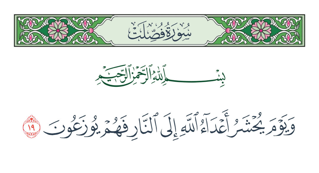  سورة فصلت الآية رقم 19