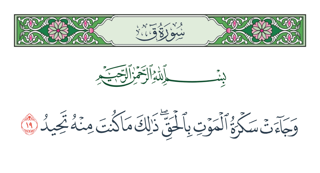  سورة ق الآية رقم 19