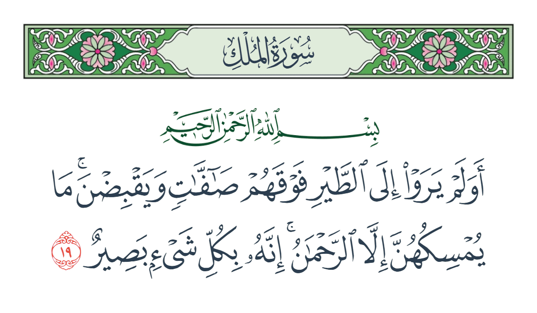  سورة الملك الآية رقم 19