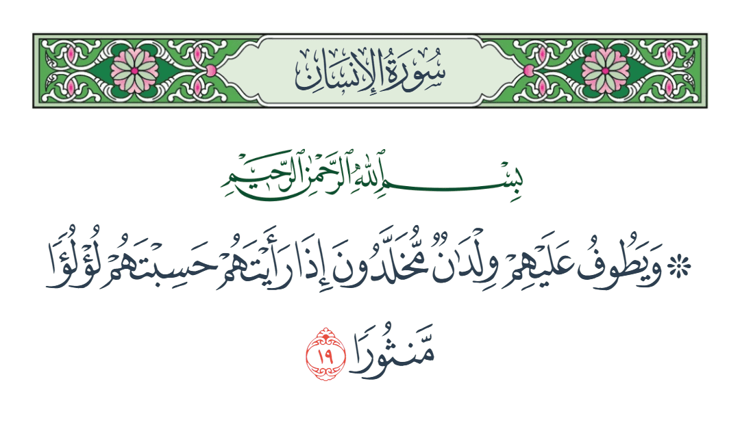  سورة الإنسان الآية رقم 19