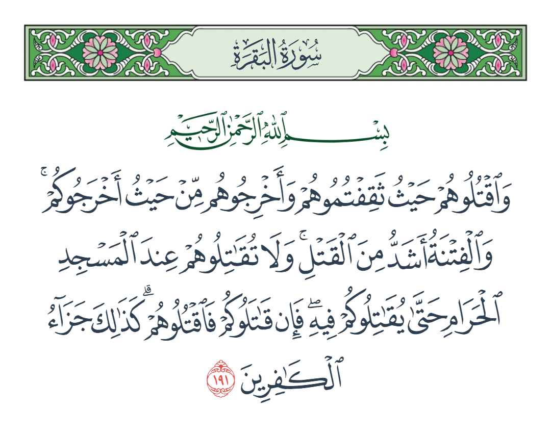  سورة البقرة الآية رقم 191