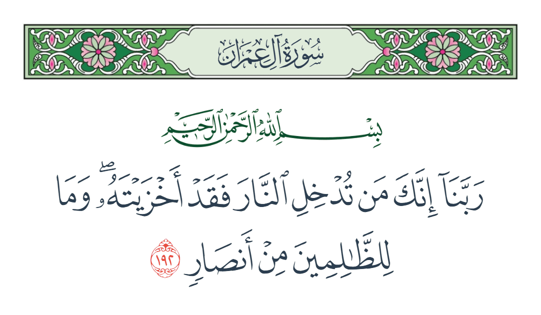  سورة آل عمران الآية رقم 192