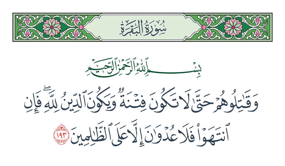  سورة البقرة الآية رقم 193