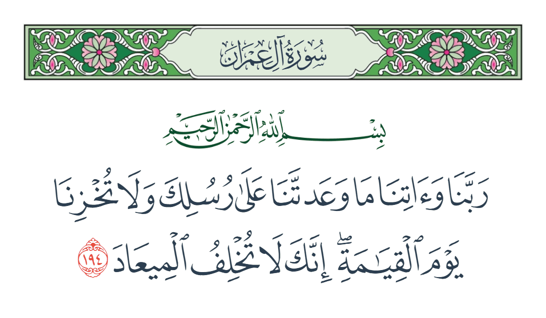  سورة آل عمران الآية رقم 194