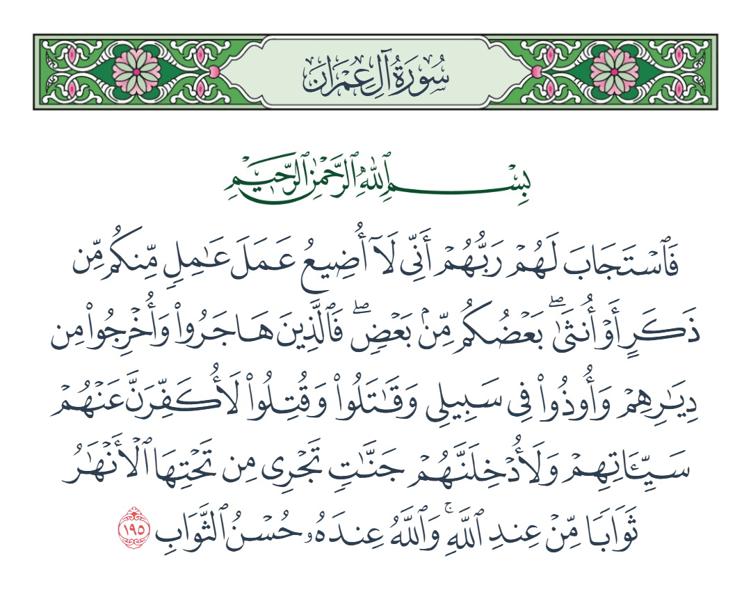  سورة آل عمران الآية رقم 195