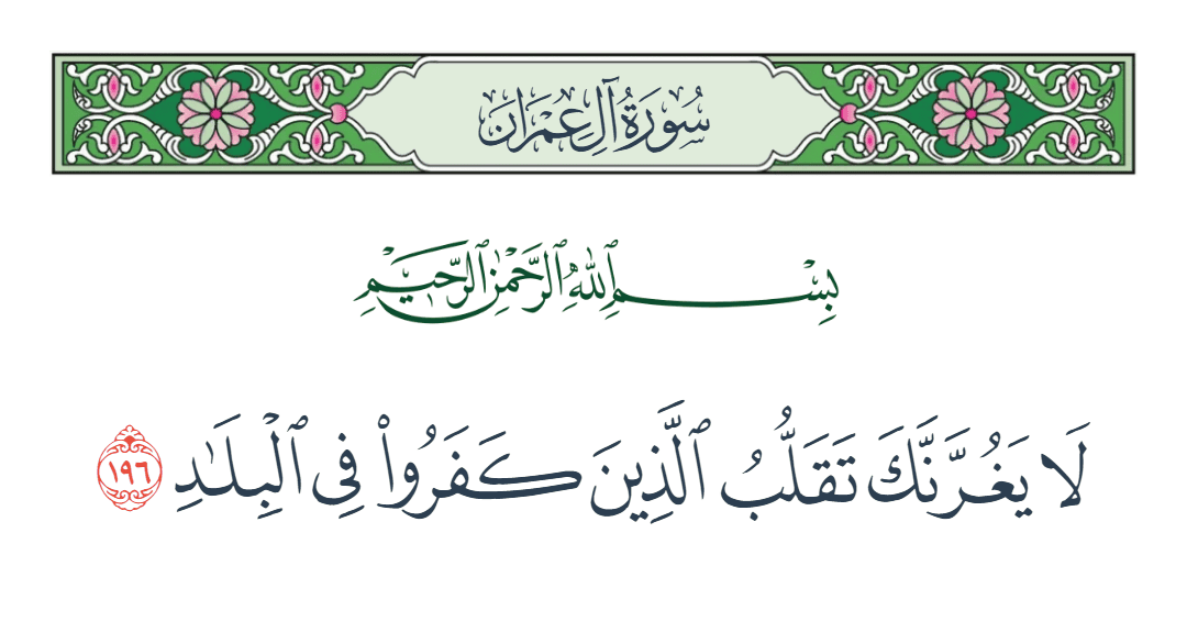  سورة آل عمران الآية رقم 196