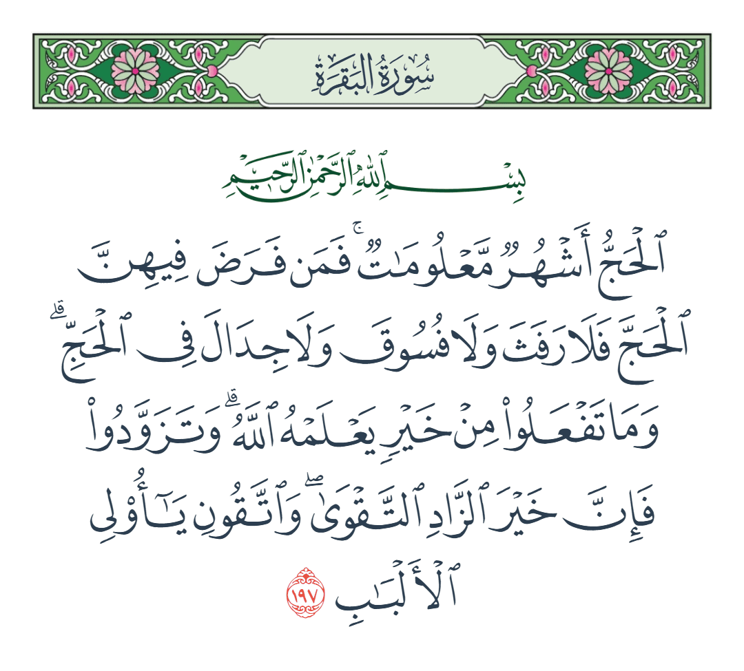  سورة البقرة الآية رقم 197