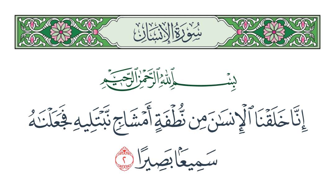  سورة الإنسان الآية رقم 2