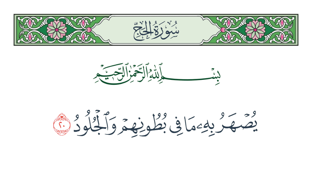  سورة الحج الآية رقم 20