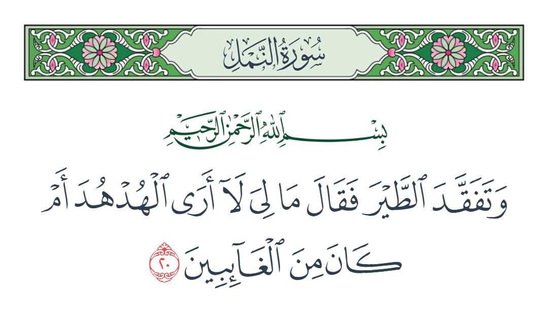  سورة النمل الآية رقم 20