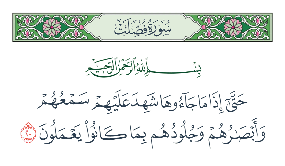  سورة فصلت الآية رقم 20