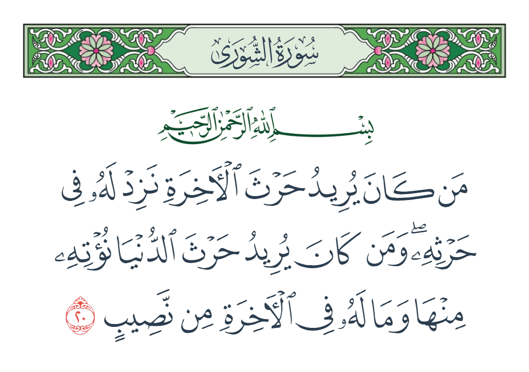  سورة الشورى الآية رقم 20