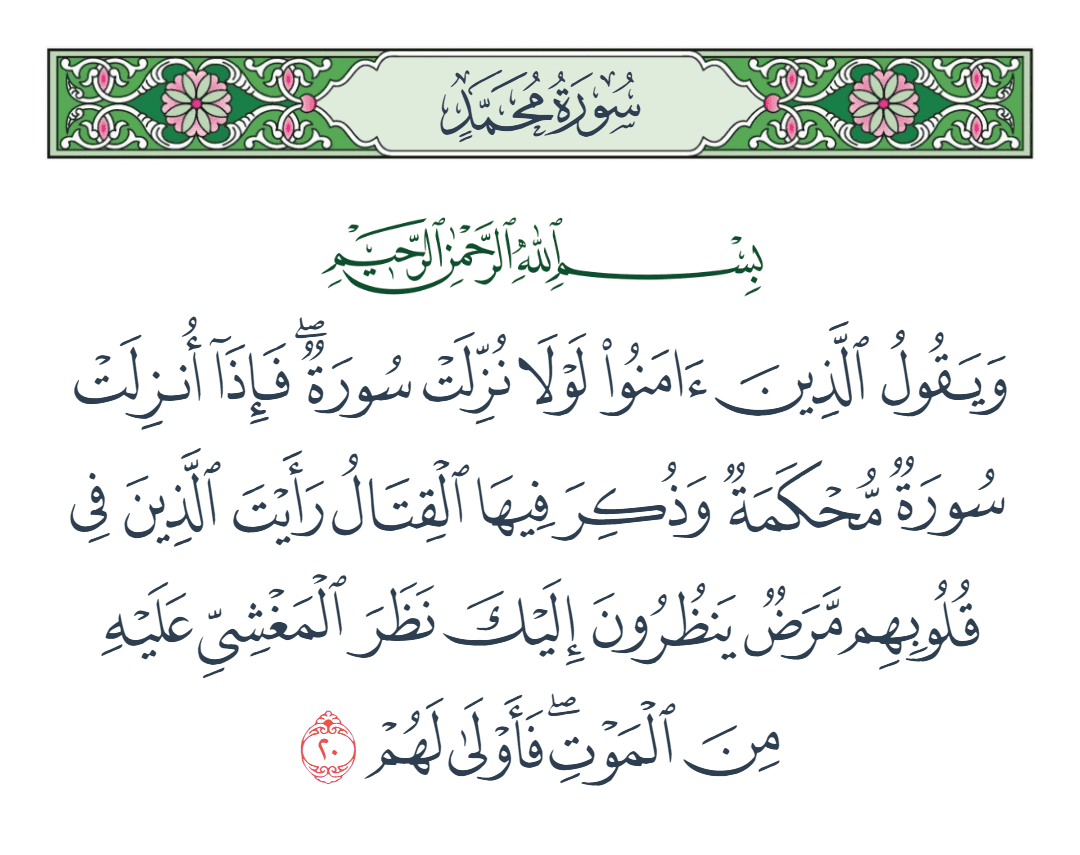  سورة محمد الآية رقم 20