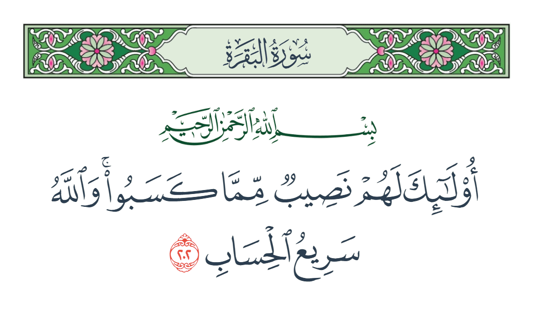  سورة البقرة الآية رقم 202