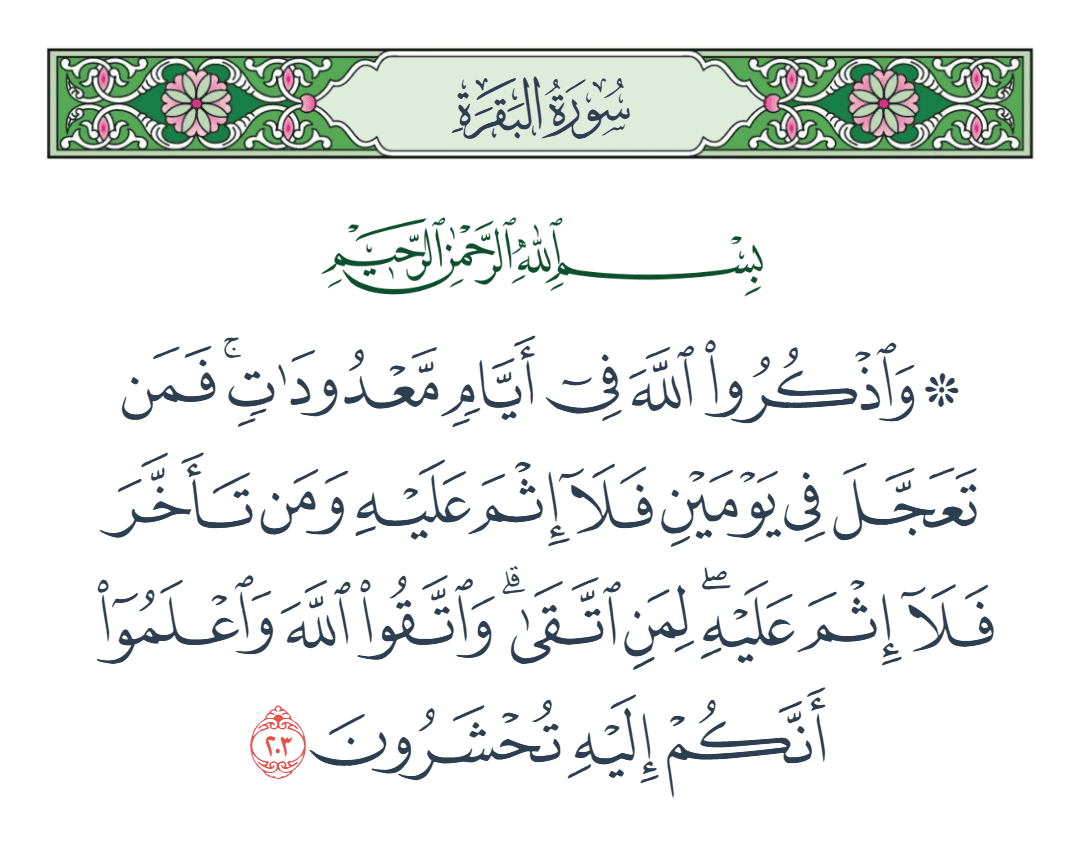  سورة البقرة الآية رقم 203