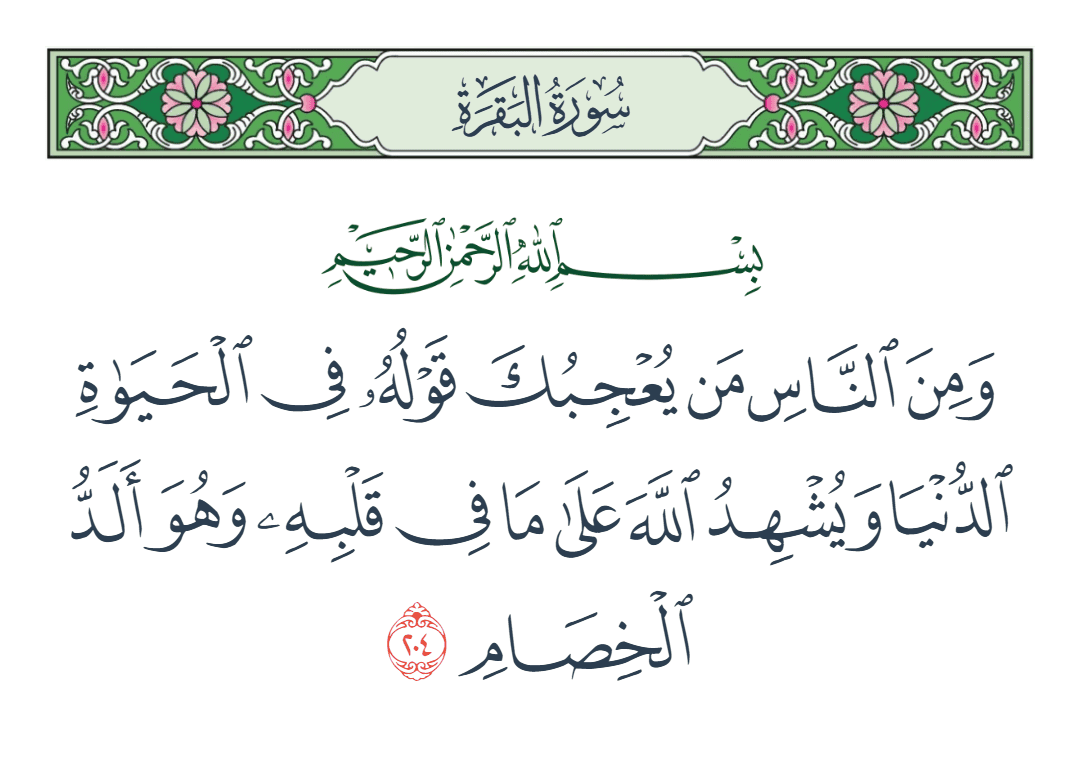  سورة البقرة الآية رقم 204