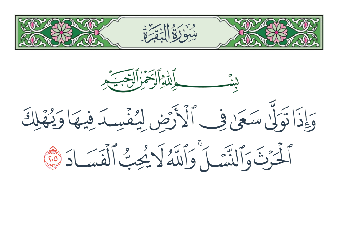  سورة البقرة الآية رقم 205