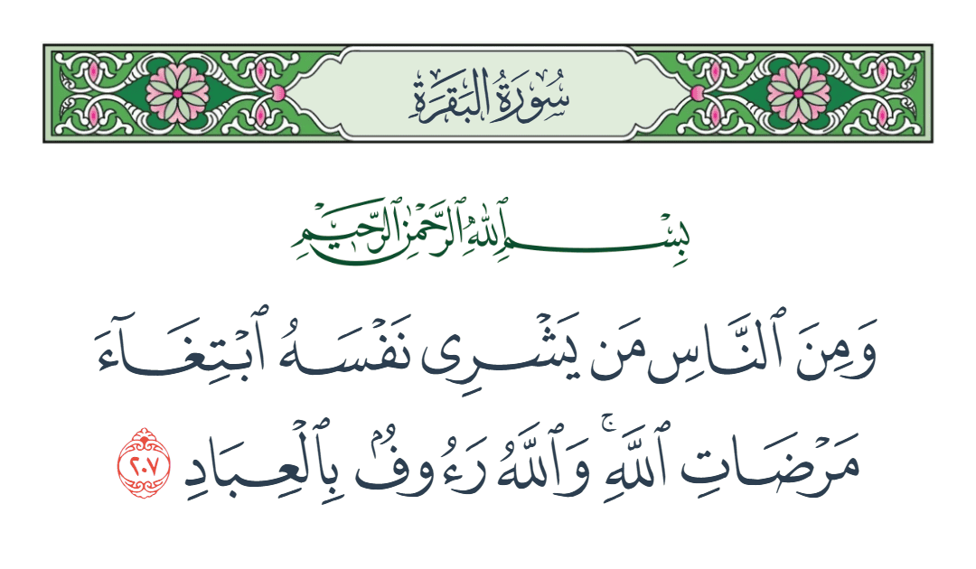  سورة البقرة الآية رقم 207