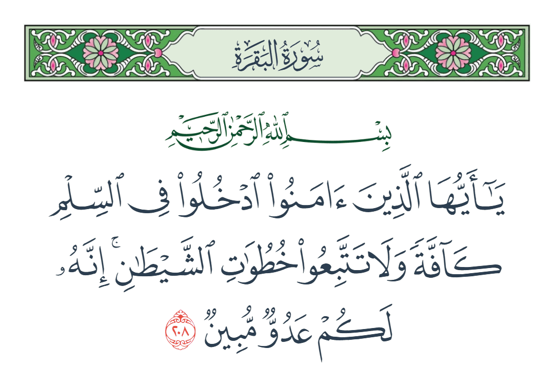  سورة البقرة الآية رقم 208