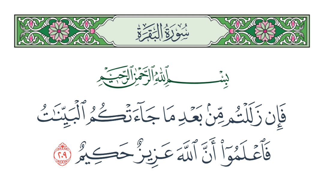  سورة البقرة الآية رقم 209