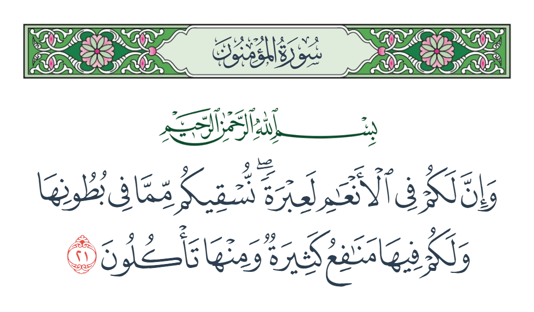  سورة المؤمنون الآية رقم 21
