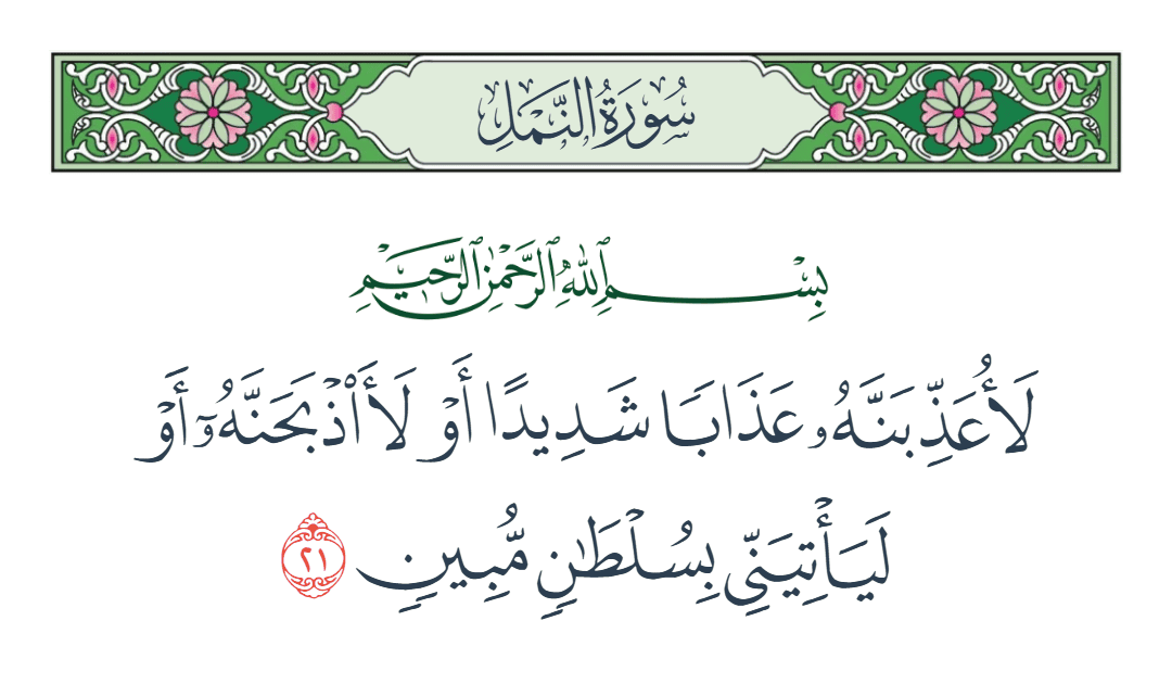  سورة النمل الآية رقم 21