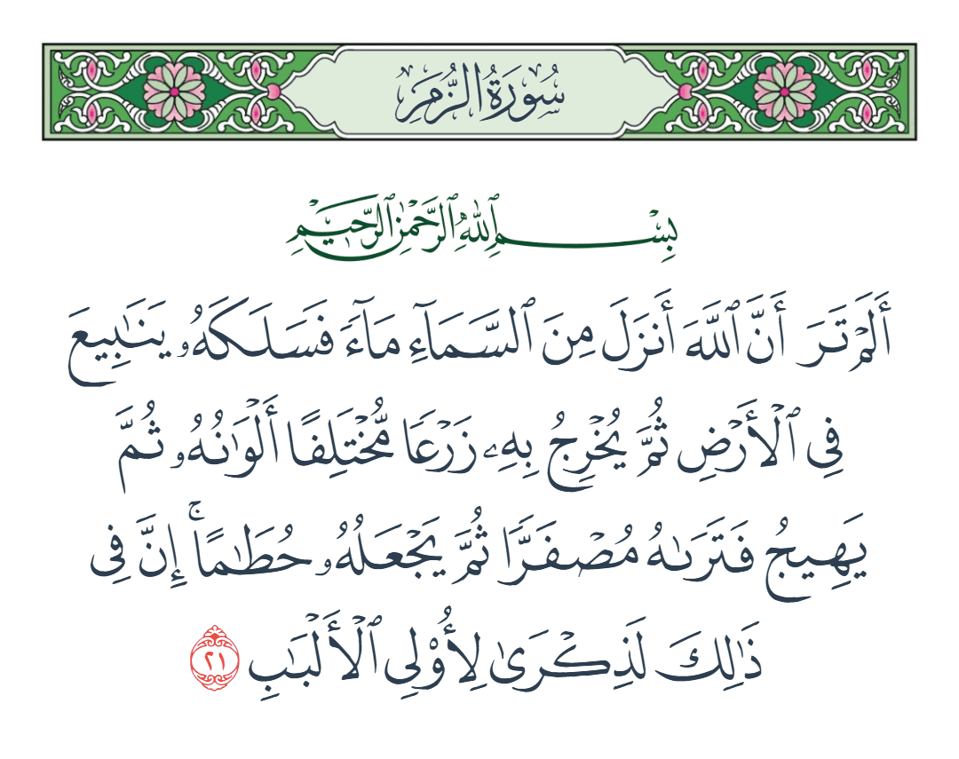  سورة الزمر الآية رقم 21