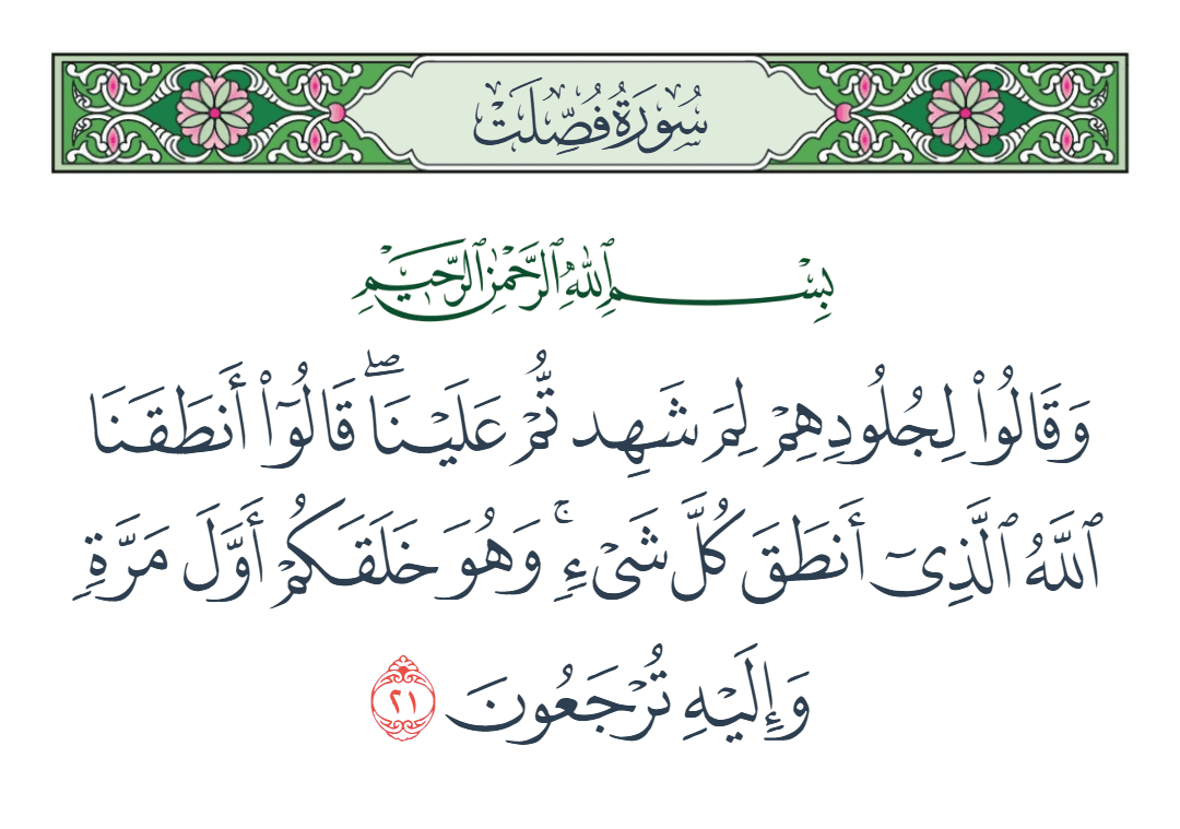  سورة فصلت الآية رقم 21