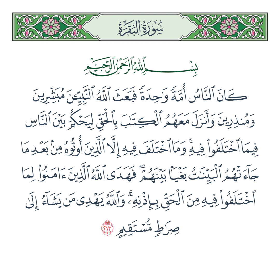  سورة البقرة الآية رقم 213