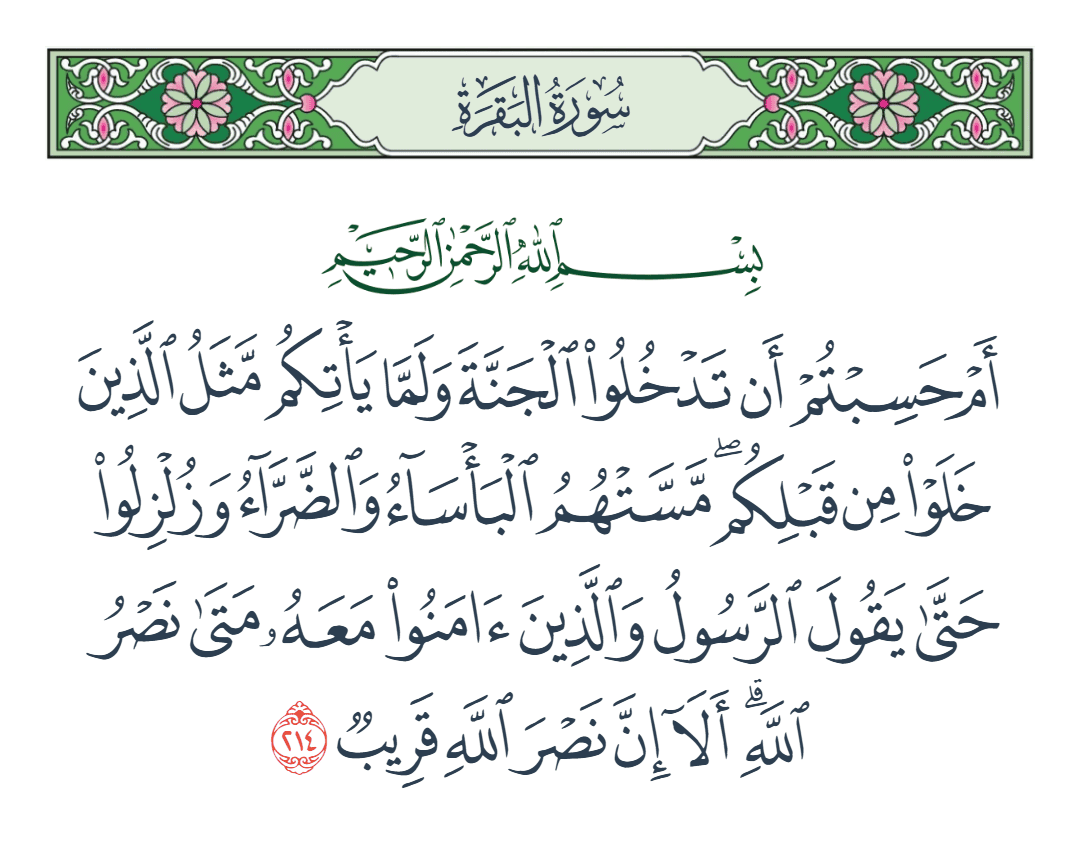  سورة البقرة الآية رقم 214