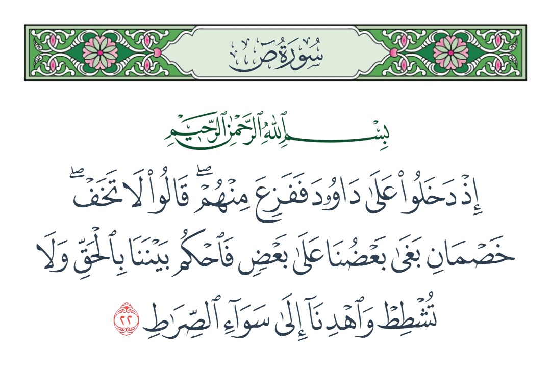  سورة ص الآية رقم 22