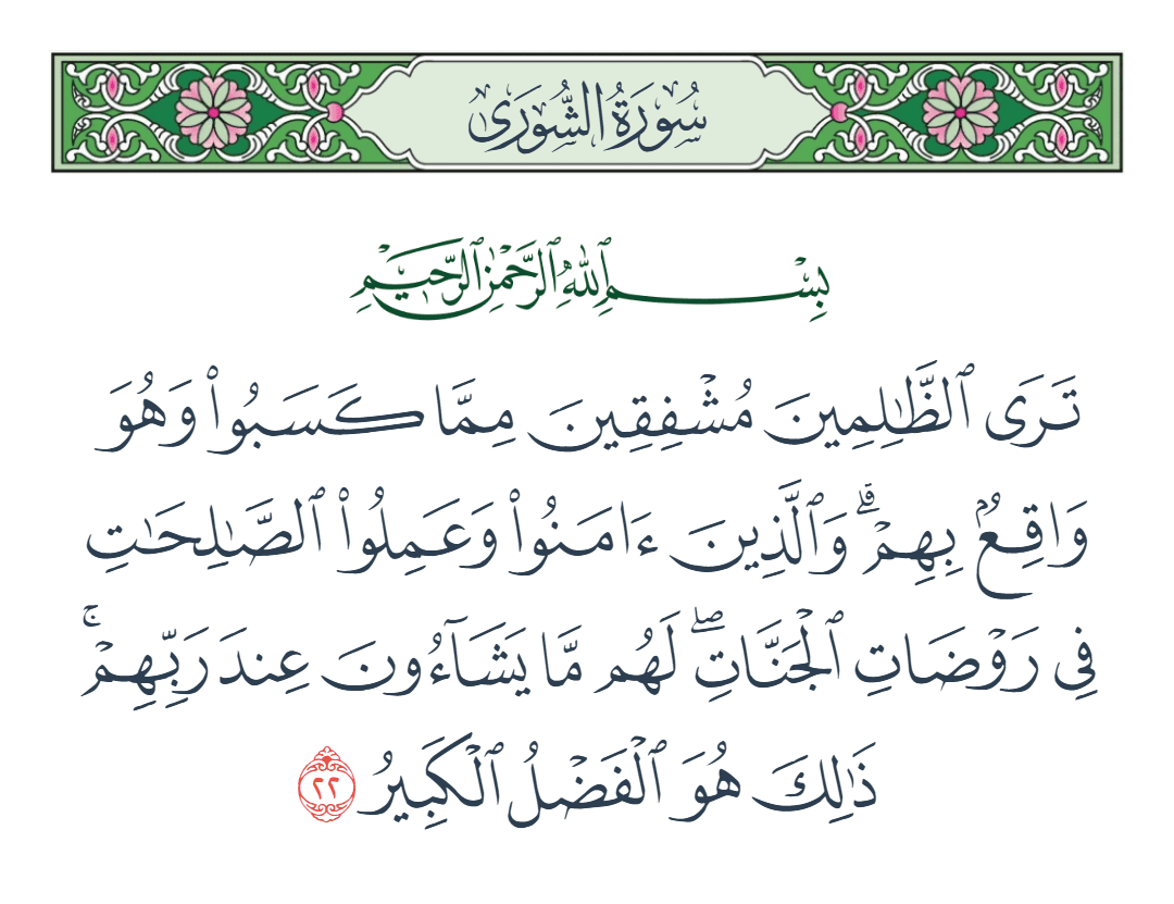  سورة الشورى الآية رقم 22