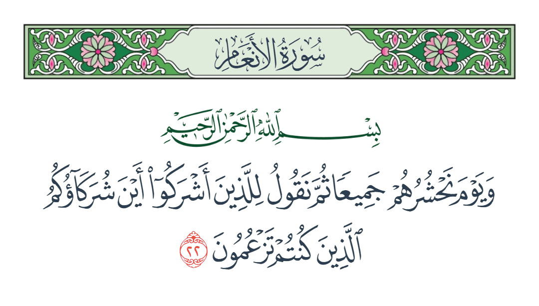  سورة الأنعام الآية رقم 22