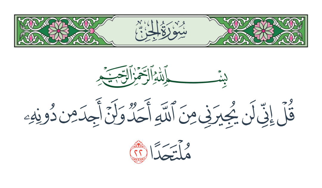  سورة الجن الآية رقم 22
