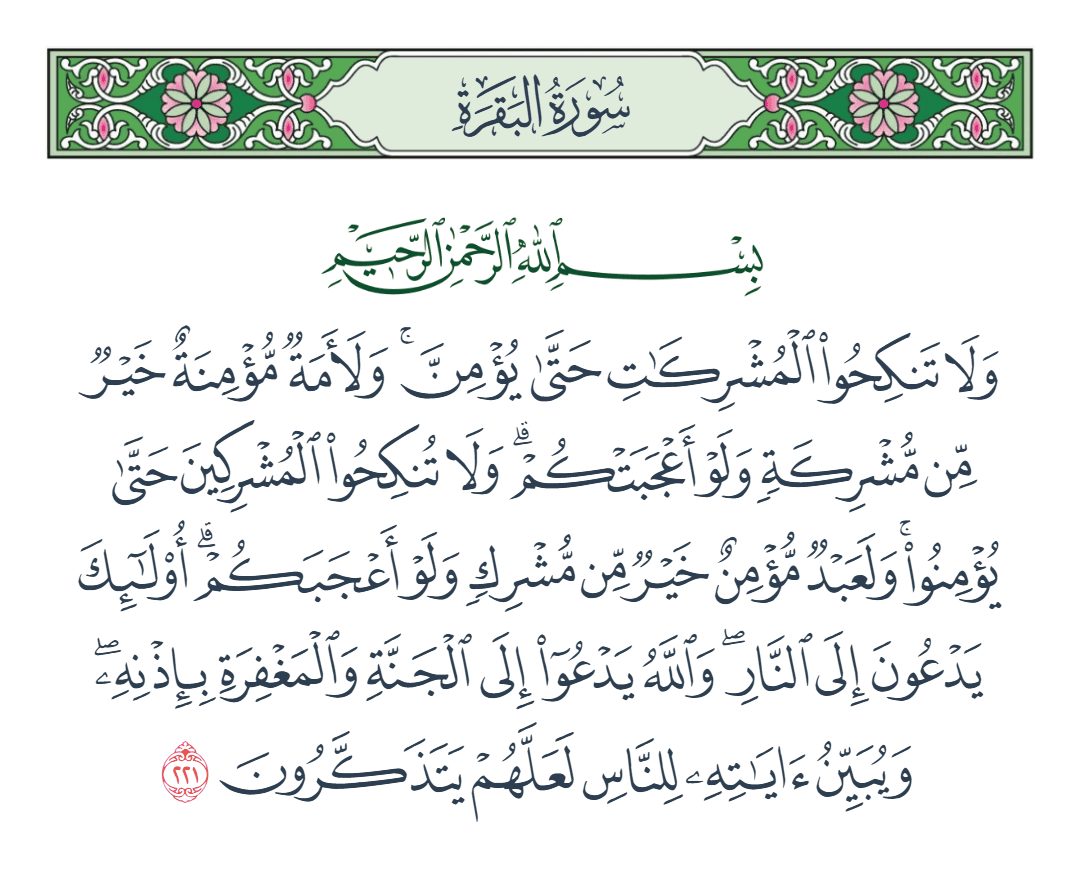  سورة البقرة الآية رقم 221