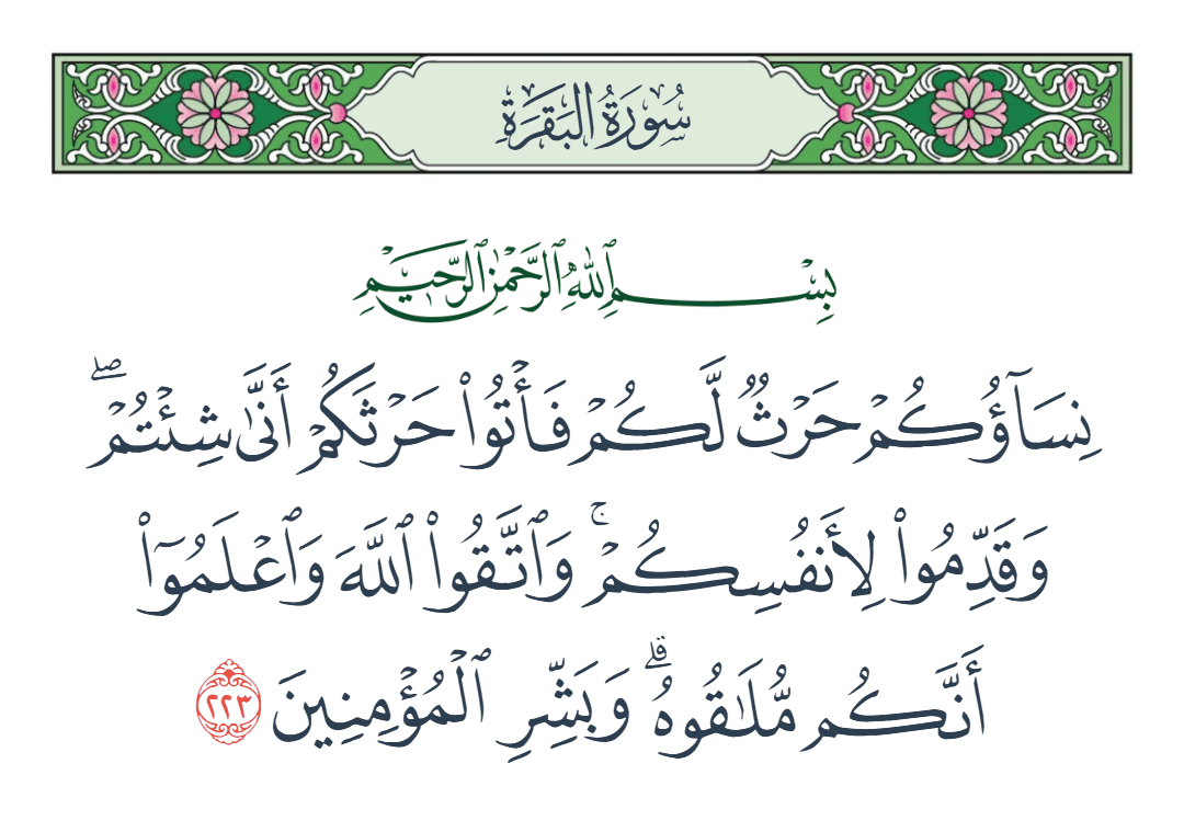  سورة البقرة الآية رقم 223
