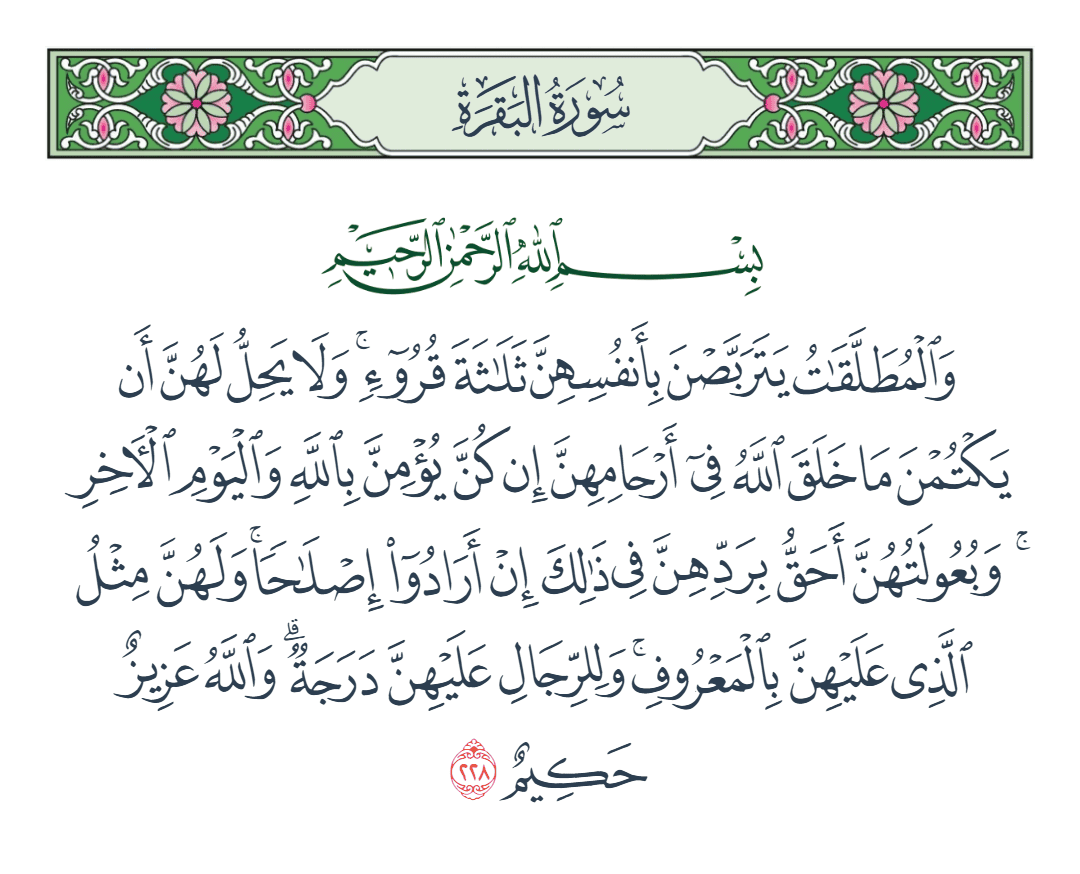  سورة البقرة الآية رقم 228