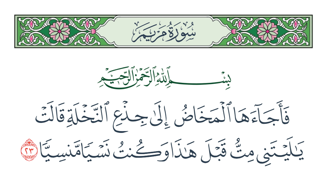  سورة مريم الآية رقم 23