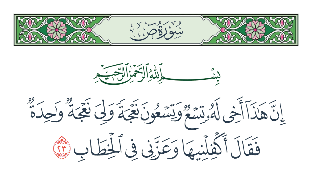  سورة ص الآية رقم 23