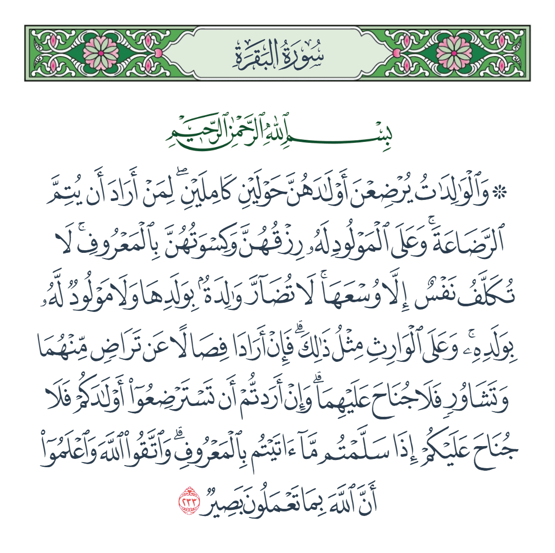  سورة البقرة الآية رقم 233