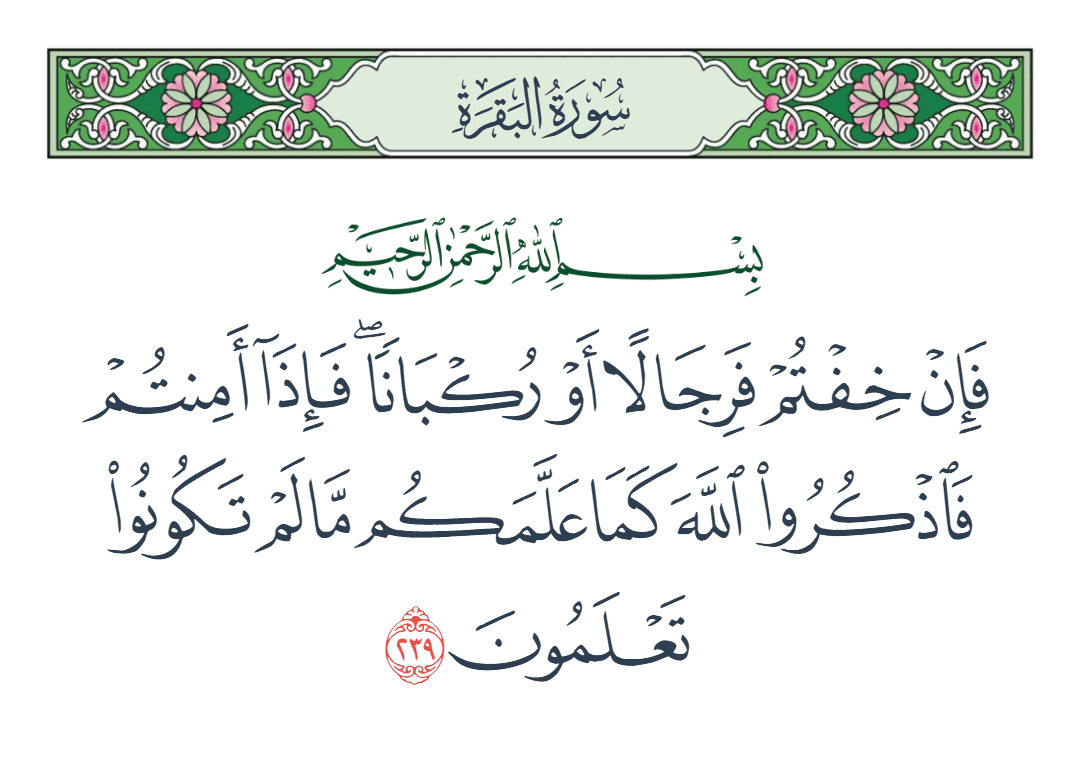  سورة البقرة الآية رقم 239