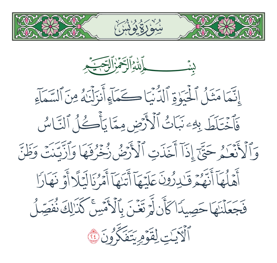  سورة يونس الآية رقم 24