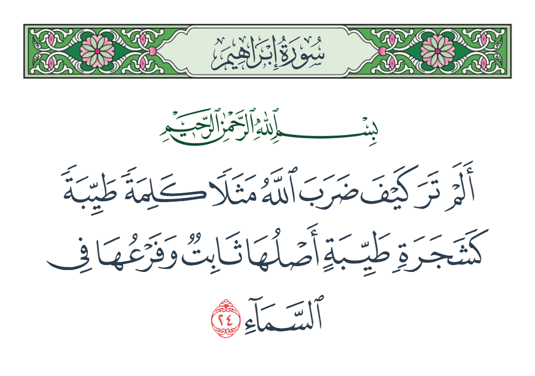  سورة إبراهيم الآية رقم 24